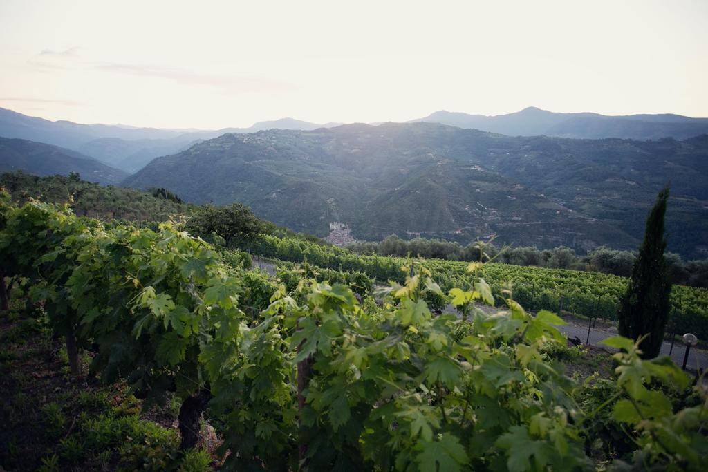 Terre Bianche Appartamenti Dolceacqua Esterno foto